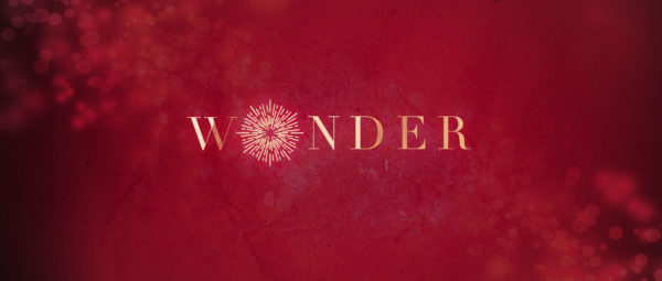 The Wonder of Peace Image