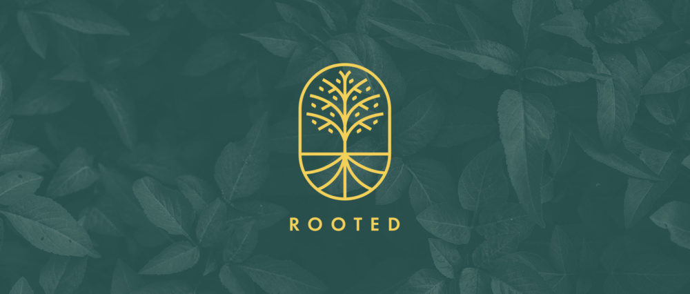 Rooted