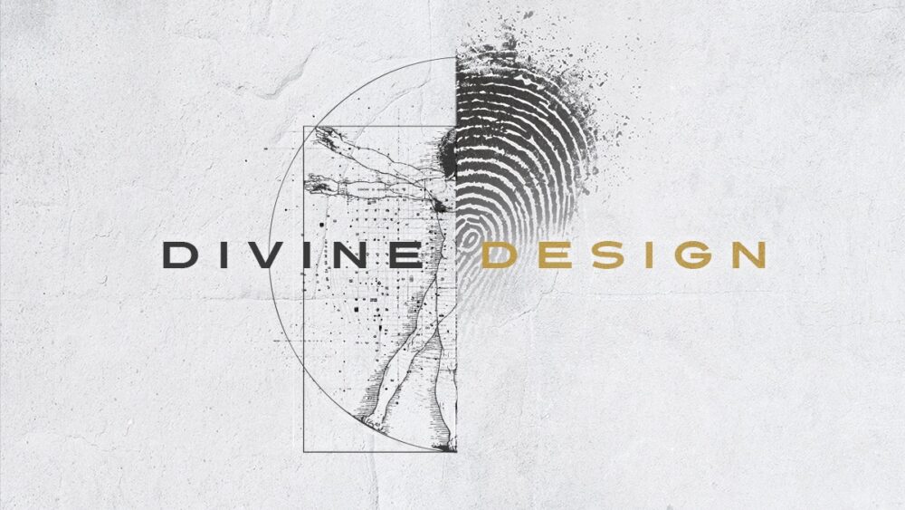 Divine Design